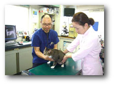 イズマ動物病院【三重県松阪市、動物病院】